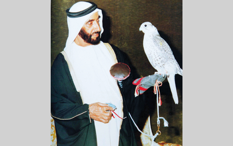 الشيخ زايد ارتبط بالصقور ورياضة الصيد بالصقور ارتباطاً وثيقاً. أرشيفية