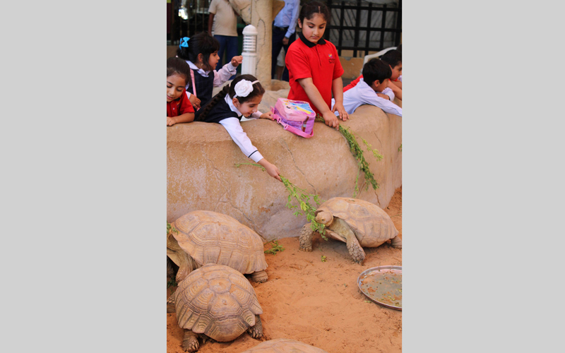 مخيم صيفي للأطفال في حديقة الإمارات للحيوانات