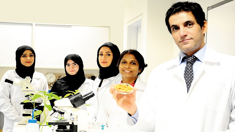 باحثون في جامعة الإمارات يحققون 7 اكتشافات طبية جديدة