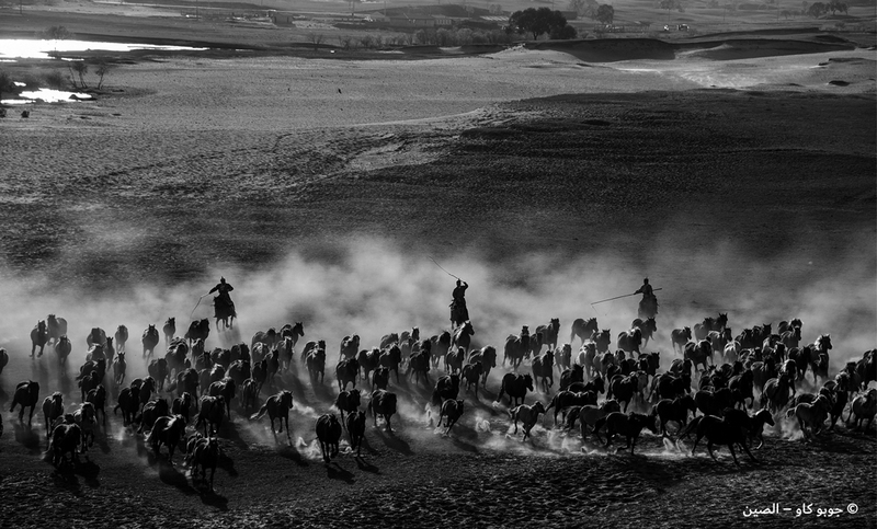 جوبي كاو - الصين