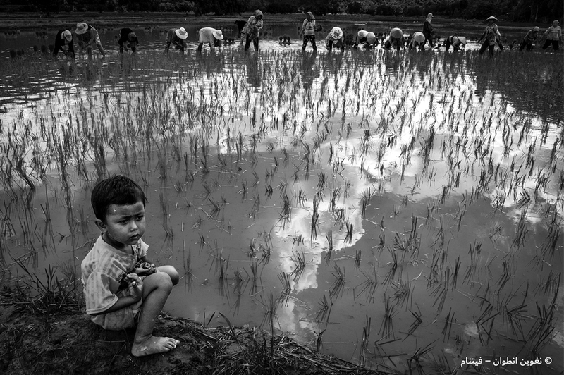 نغوين أنطوان - فيتنام