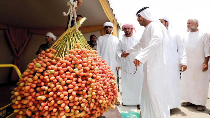 منافسات مسابقة أكبر عذج أسفرت عن تقدم المزارع محمد سلطان بتال مبارك المرر بالمركز الأول، بوزن 97 كيلوغراماً و100 غرام.

من المصدر