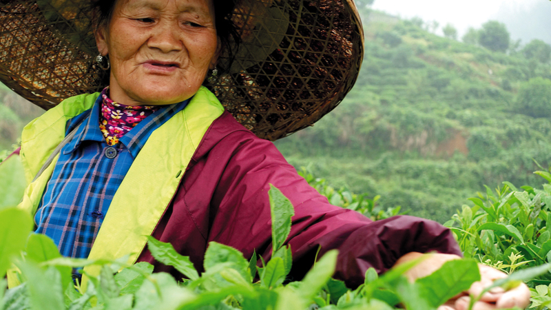 المنتجات الزراعية الصينية تُصدّر إلى أماكن كثيرة عبر العالم.  رويترز