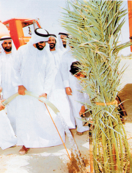 زايد كان يرى أن الزراعة عنصر أساسي في تنمية المجتمع. أرشيفيةْ
