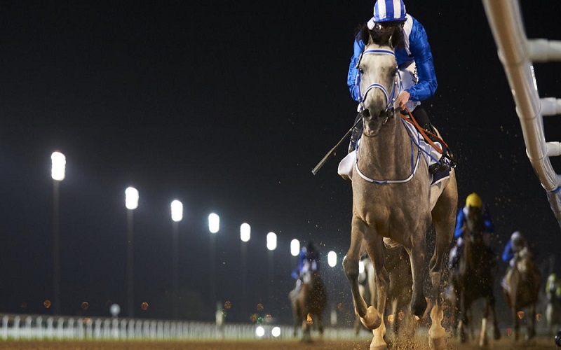 12 % زيادة في الجوائز المالية لكرنفال كأس دبي العالمي للخيول