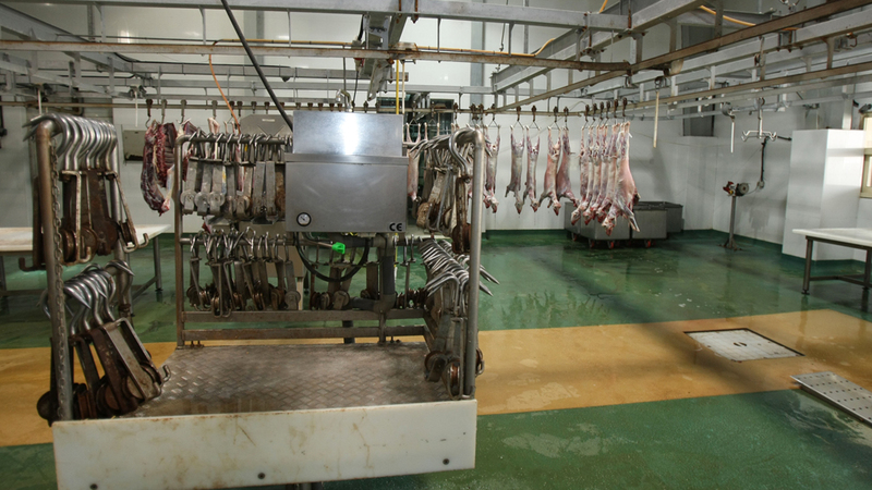 «الموارد البشرية» حظرت عمل الطلبة في سلخ الحيوانات وتقطيعها وسمطها وإذابة شحمها. أرشيفية