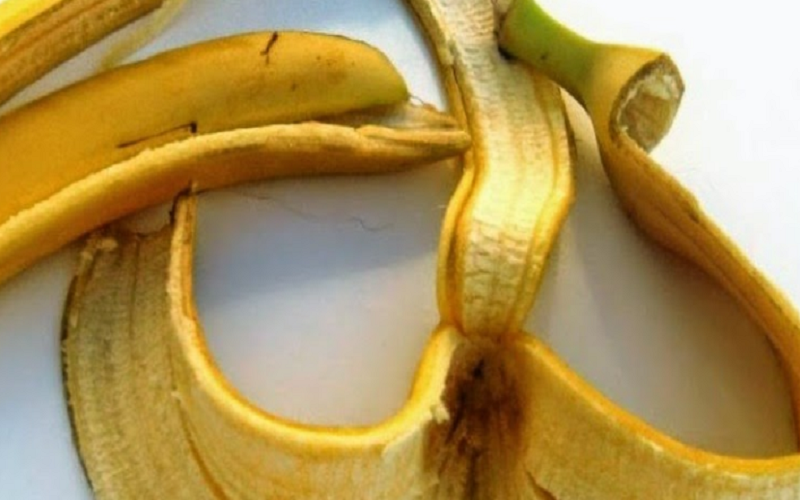 قشور الموز ليست للقمامة!