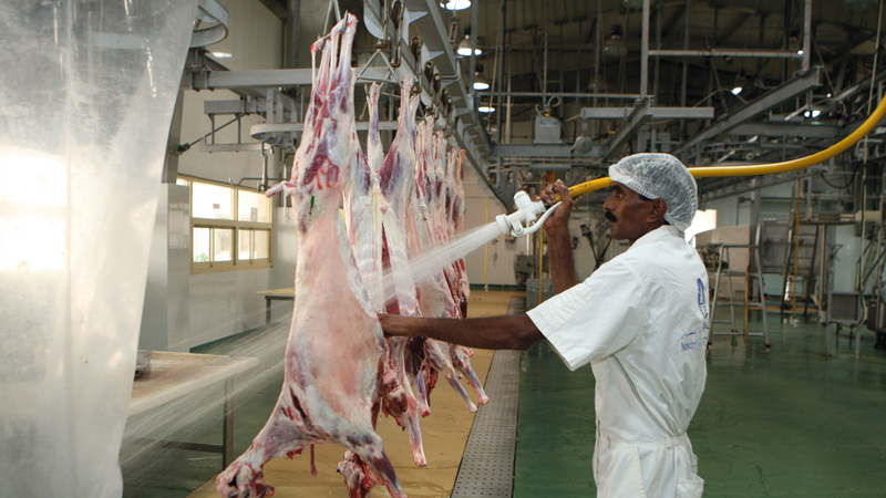 مقاصب الدولة مزوّدة بأحدث التقنيات ويتم الذبح حسب الشريعة وبطرق آمنة. أرشيفية