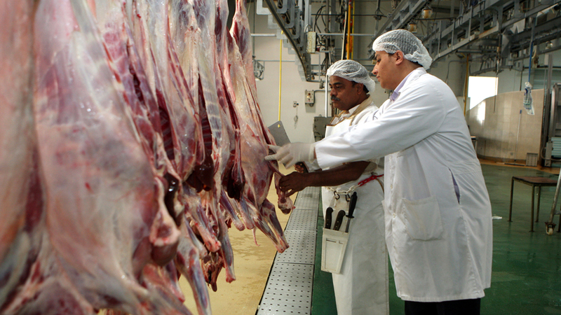 الحداد طالب المضحّين بذبح أضاحيهم في المقاصب المرخّصة. تصوير: أسامة أبوغانم