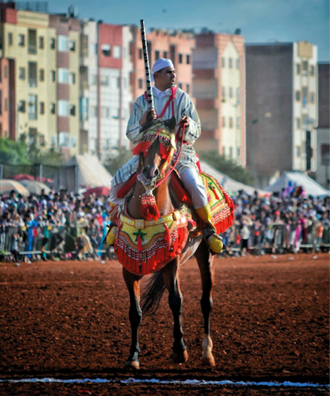 أنور صوّر معرضاً تقليدياً من معارض الفروسية في المغرب.  من المصدر