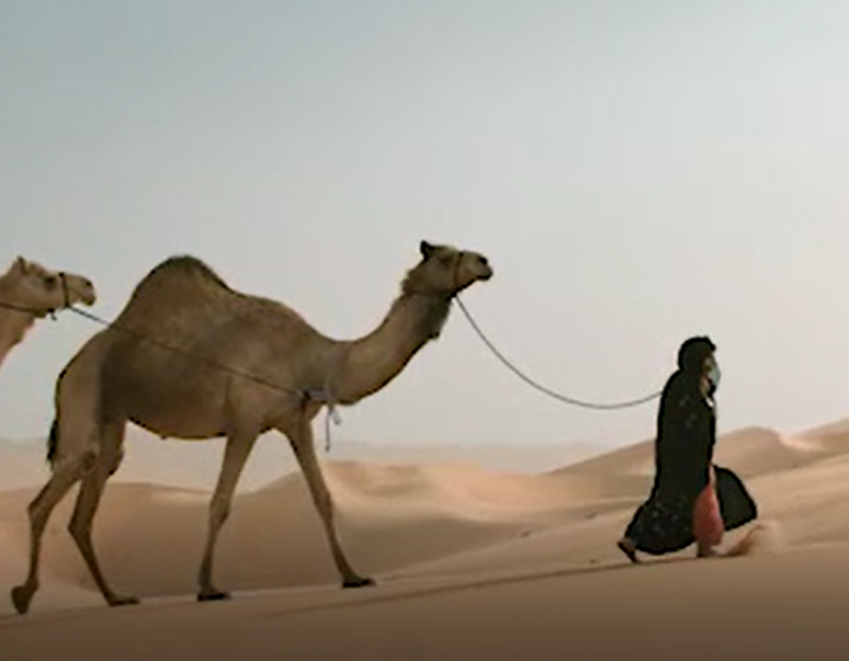 بالفيديو..فاطمة الهاملي: الصحراء مصدر سعادتي وسبب قوتي