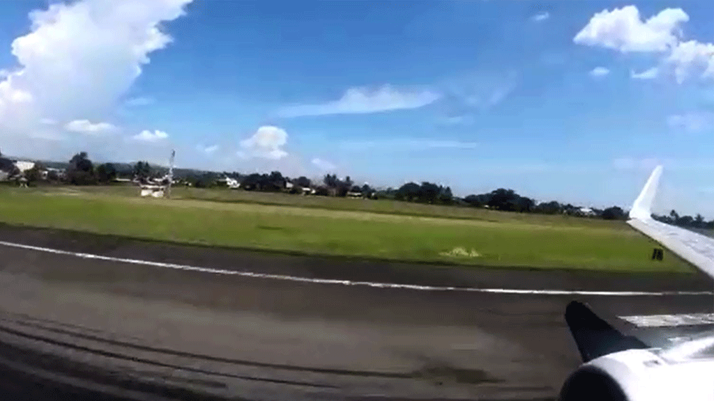 بالفيديو.. لحظة اصطدام طير بمحرك طائرة