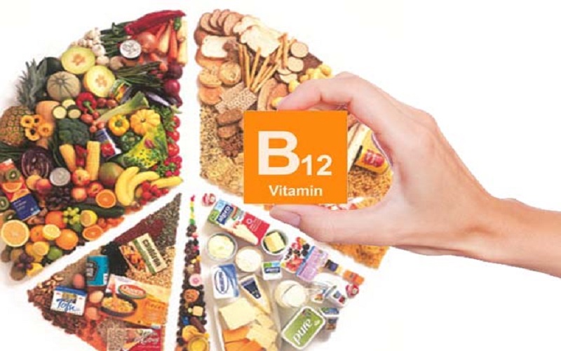 مأكولات غنية بـ B12 تحمي الدم والقلب