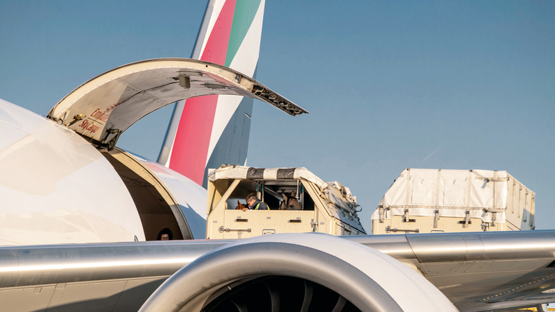 «الإمارات للشحن الجوي» تنقل دفعة من 500 خيل للمشاركة في ألعاب الفروسية العالمية