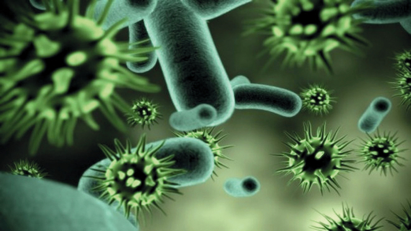 الفيروسات تتعاون للتغلب على الدفاعات المناعية للجراثيم
