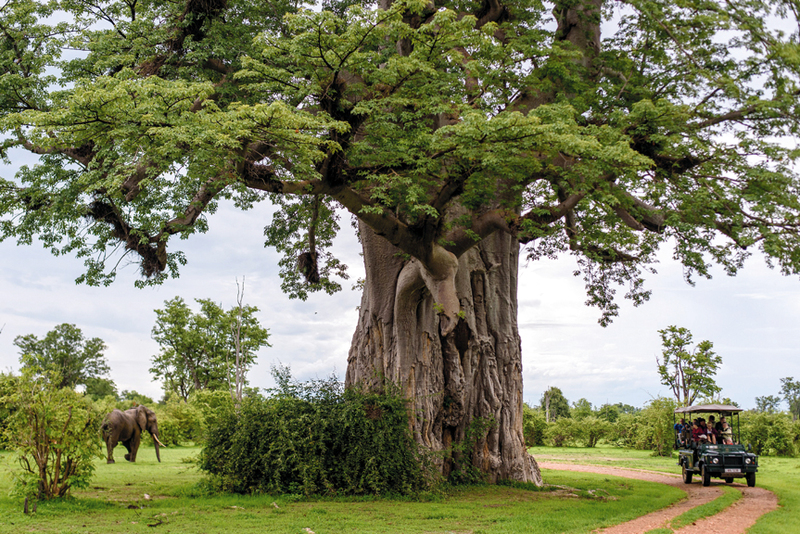دانييل كيمف سيفريد - ألمانيا