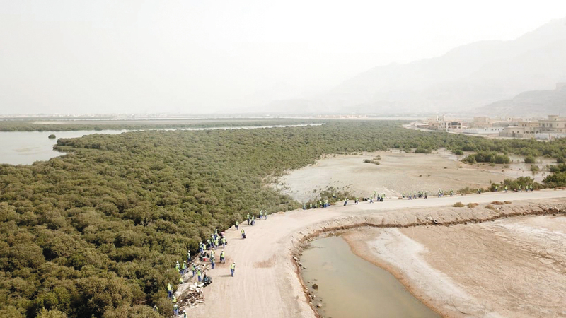 5 أطنان و400 كيلوغرام من المخلفات حصيلة حملة تنظيف الخور. من المصدر