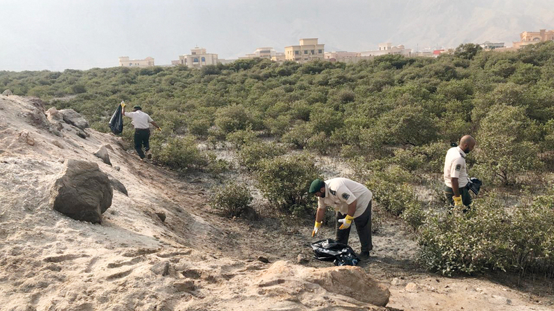 250 شخصاً شاركوا في حملة التنظيف. من المصدر