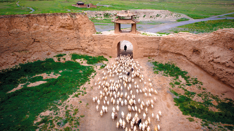 جيكان شي - الصين
