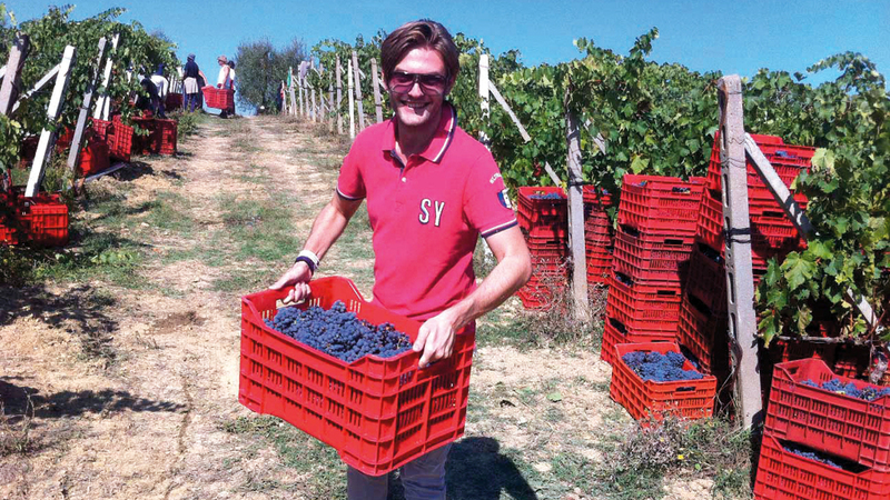 سائح يحمل ما قطفه في صندوق.  أرشيفية