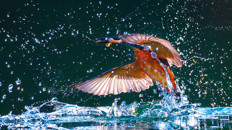 غوينغ سينغ - الصين