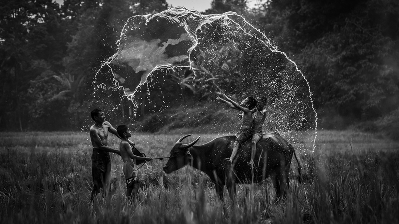 تيو لياك سونغ – ماليزيا