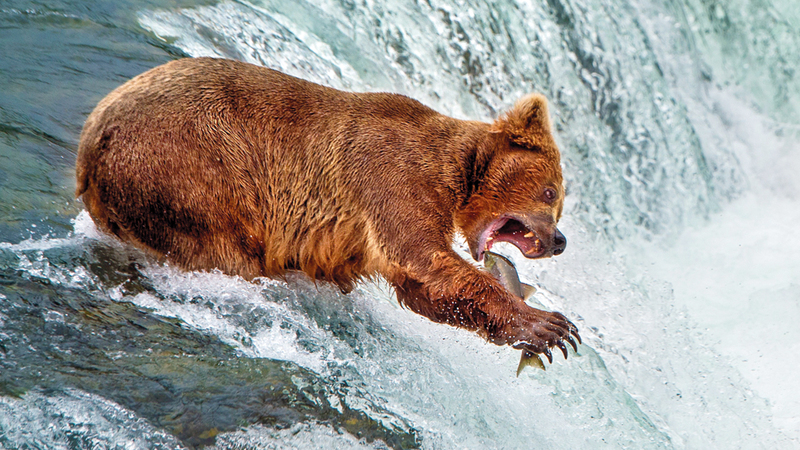 شاوزي وانغ - الصين