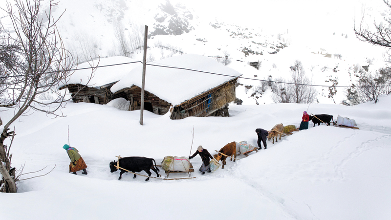 هاكان يلدريم - تركيا