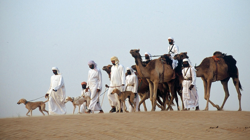 المحمية تدعم الصيد التراثي التقليدي وترسّخ مبادئ الصيد المستدام.

من المصدر