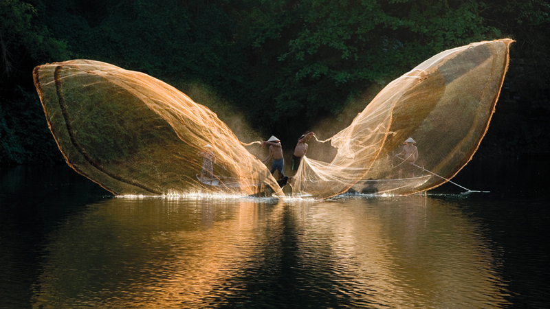 لوزي هوانغ ــ فيتنام.