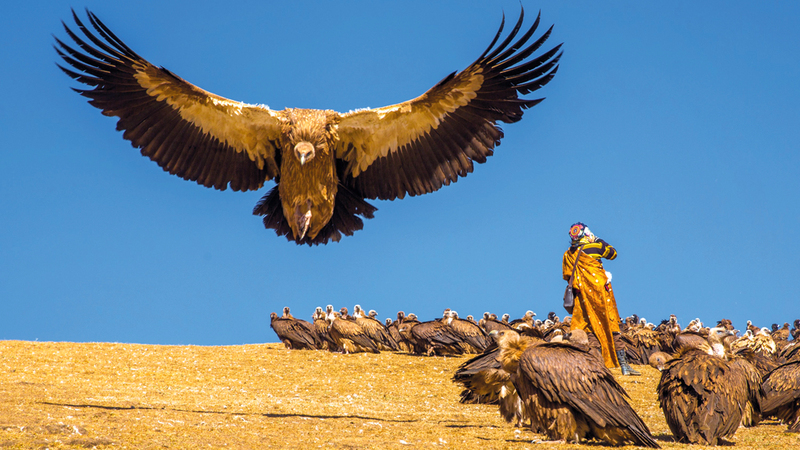 شينغ دونغ لو ــ الصين.