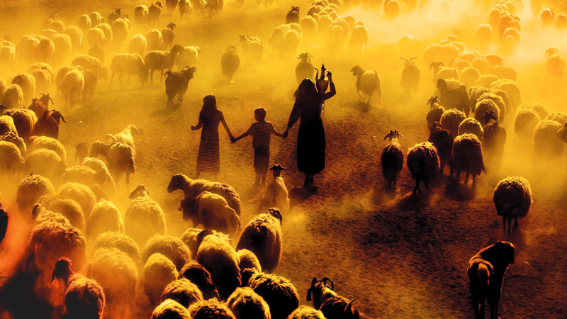 توفان بيلير - تركيا