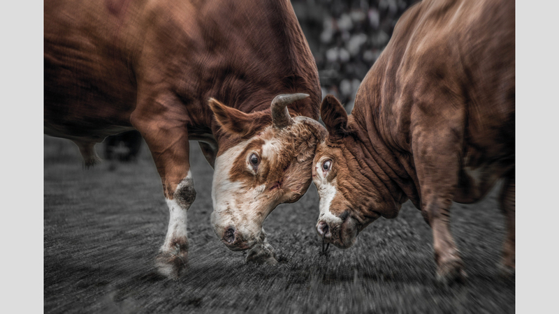 يوهونغ تشانغ - الصين