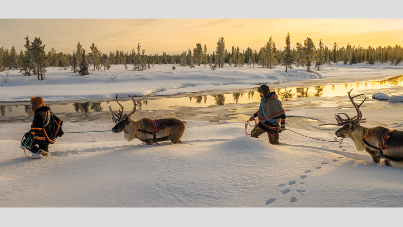 ديفيد إيفانز &ndash; أستراليا