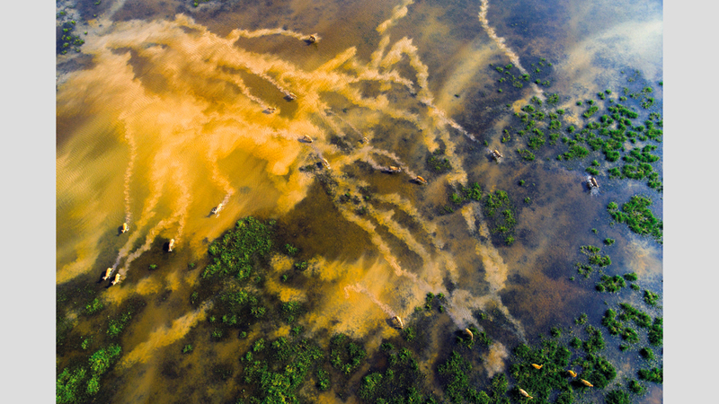 تشينغوا هي &ndash; الصين