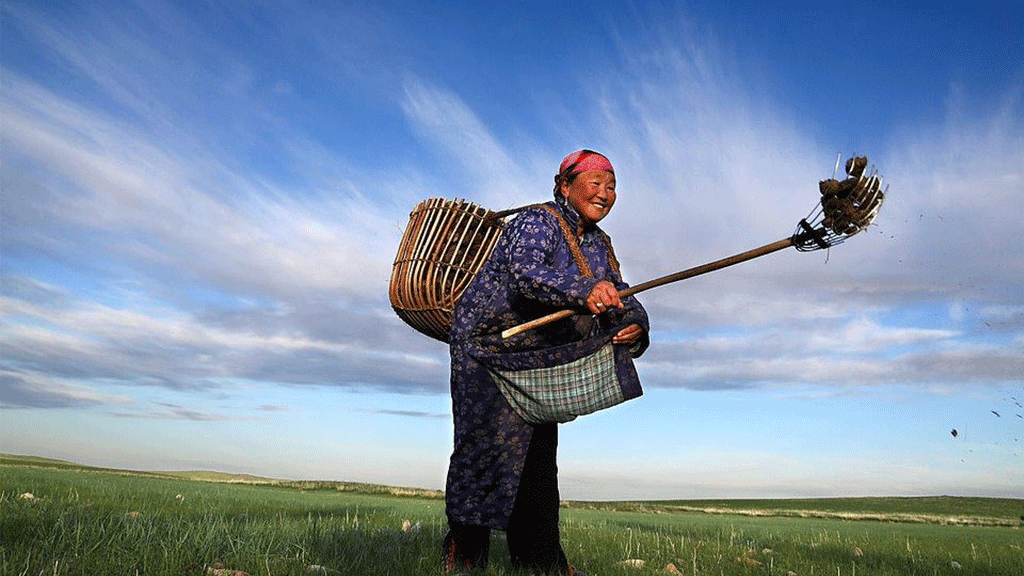 امرأة تبتسم لعدسة الكاميرا في حقل للمحاصيل الزراعية، منغوليا