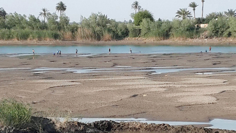 شح مياه الأنهار يُجبر الحكومة العراقية على استيراد القمح.  أرشيفية