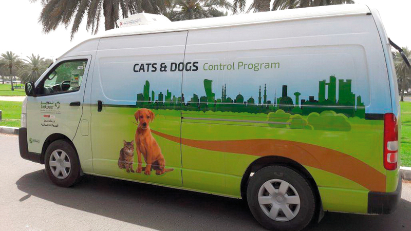 الحيوانات السائبة تحجز وتنقل بسيارات مجهزة إلى مأوى الحيوانات.  من المصدر