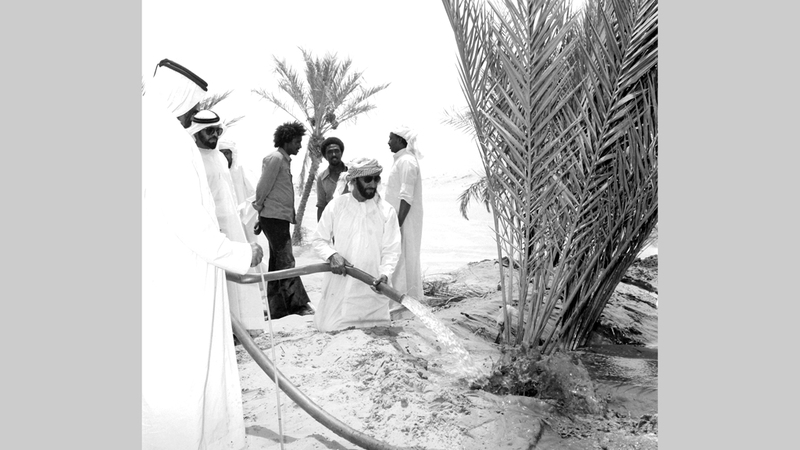 الشيخ زايد خلال إحدى زياراته إلى منطقة ليوا. أرشيفية