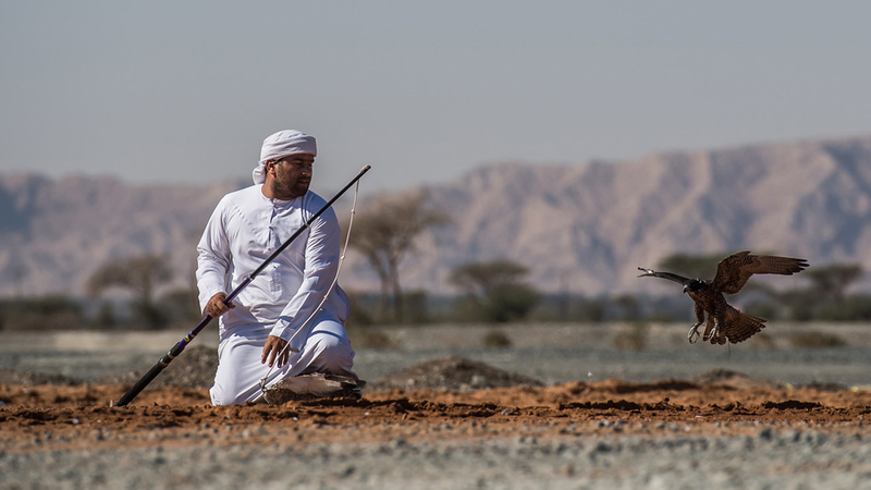 اليوم الثالث شهد شوطين خصصا لفئتي جير شاهين - فرخ، وجير شاهين - جرناس. من المصدر