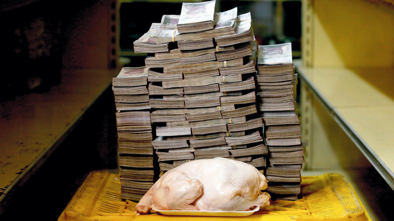 كمية كبيرة من الأموال بجانب دحاجة للتعبير أن قيمتها تصل إلى هذا المبلغ الذي يصل لـ14 مليوناً و600 ألف بوليفار، ما يعادل 2.22 دولار. أرشيفية