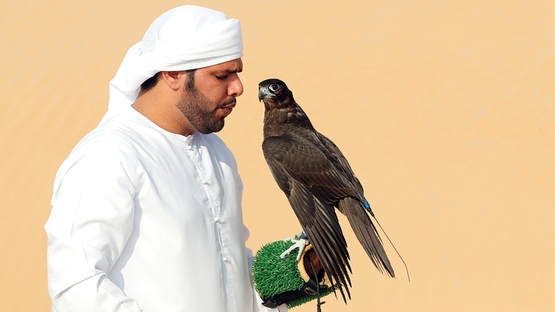 عديد من الفعاليات والمسابقات التعليمية والترفيهية على هامش المهرجان.

من المصدر