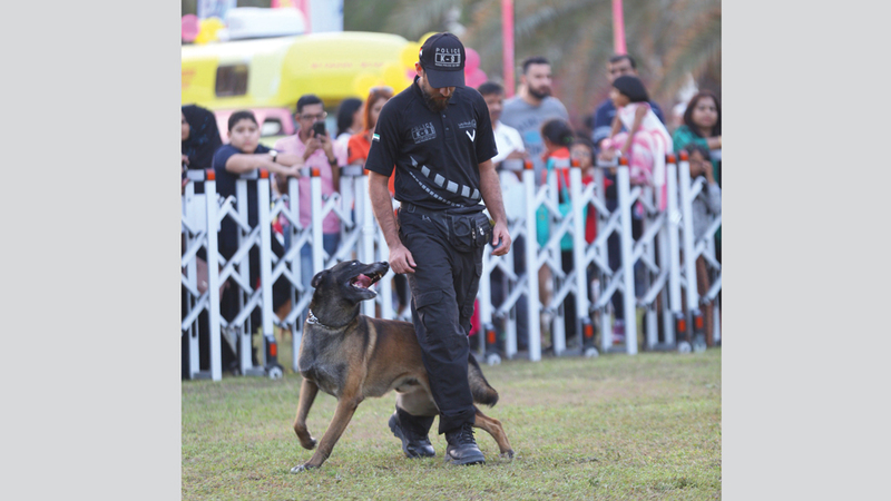 شرطة دبي تستخدم الكلاب لأغراض البحث عن متفجرات وتفتيشات احترازية.  من المصدر