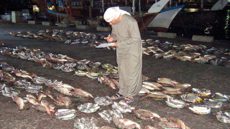 «بيئة أبوظبي» أكدت وجود بدائل للصيد بطريقة الحلاق منها الصنارة واللفاح والشب. من المصدر