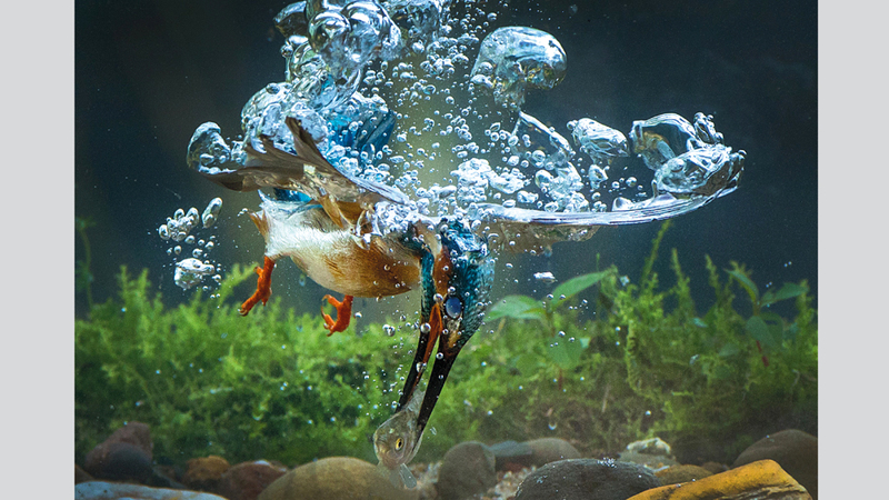 ليشو شو - الصين