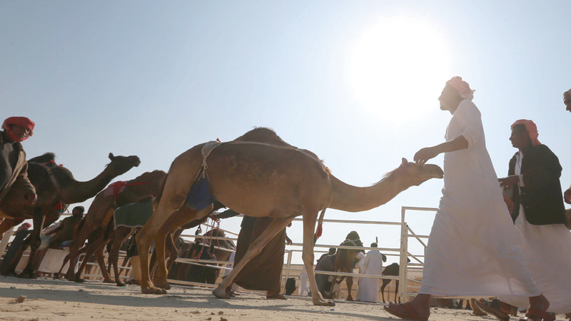 المهرجان نجح في التعريف بالتراث الإماراتي وتسليط الضوء عليه عالمياً بوصفه جزءاً من التراث العربي غير المادي. من المصدر
