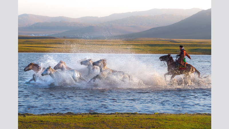فردوس شبير - بنغلاديش