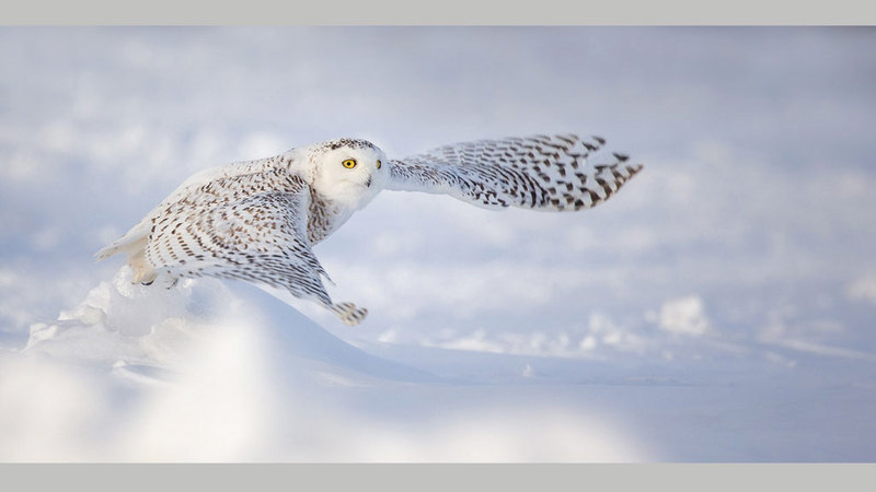 ماريون فولبورن &ndash; ألمانيا