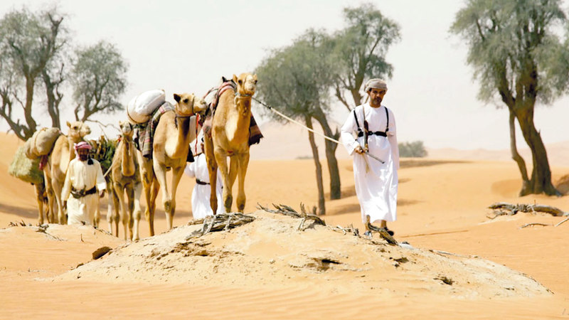 مشهد من وثائقي «شريعة الذيد».

من المصدر