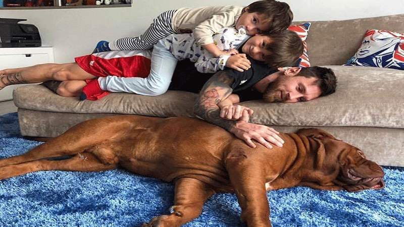 ÙƒÙ„Ø¨ Ù…ÙŠØ³ÙŠ Ø§Ù„Ø¶Ø®Ù… ÙŠØ«ÙŠØ± Ø¹Ø§ØµÙØ© Ø¹Ù„Ù‰ "ØªÙˆÙŠØªØ±" - Ø£Ø®Ø¨Ø§Ø± Ø§Ù„Ù…ÙˆÙ‚Ø¹